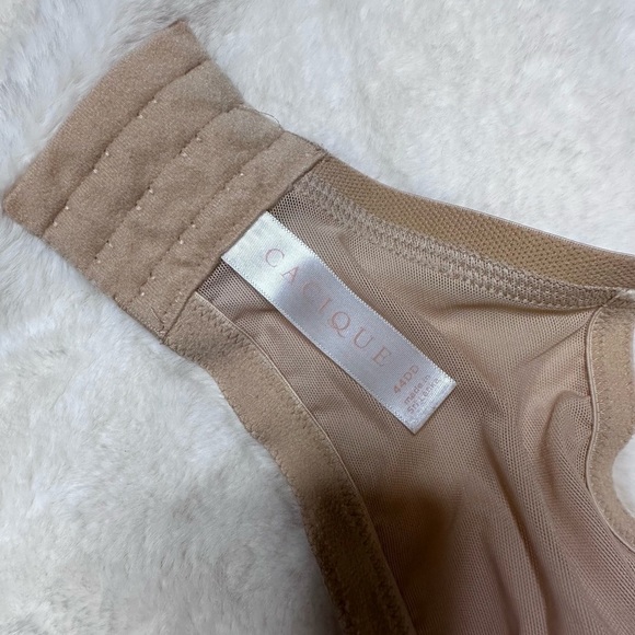 Cacique Bra - Picture 10 of 10